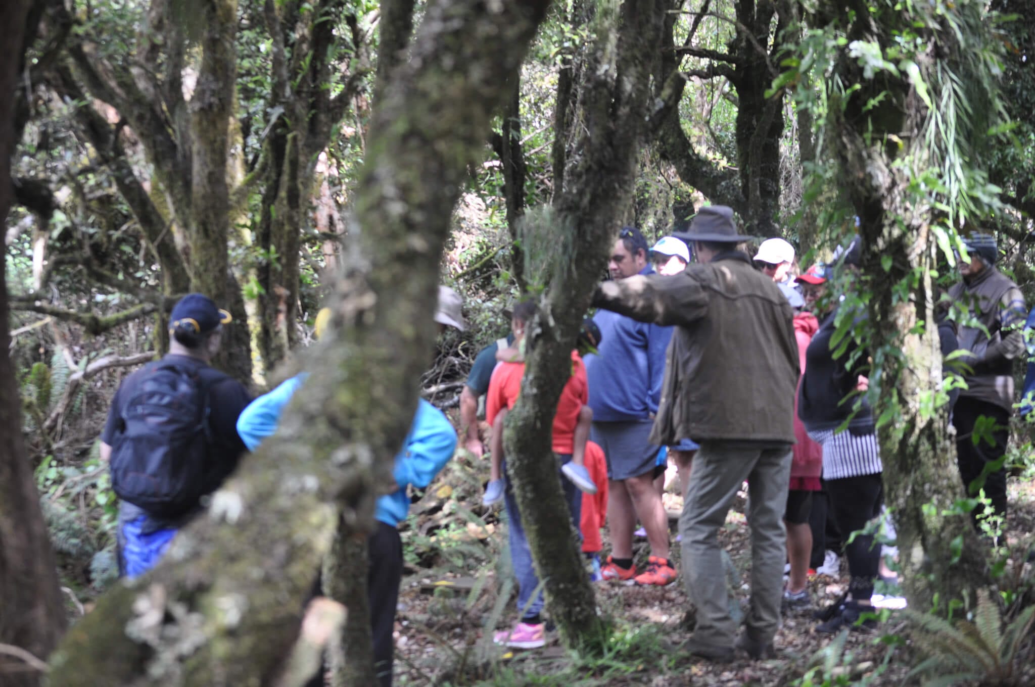 Ngati Pahauwera » Marae Atea Wānanga Maungaharuru Trip January 2017